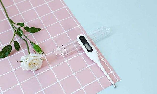 Термометр Xiaomi Electronic Thermometer White (MMC-W201) MMC-W201 фото